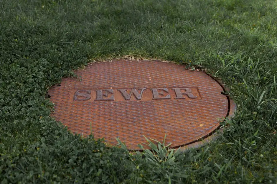 Before and After: Clogged Sewer Line